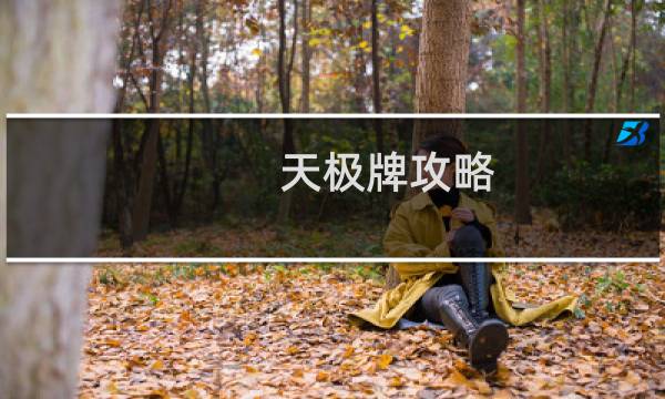 天极牌攻略