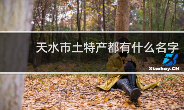 天水市土特产都有什么名字