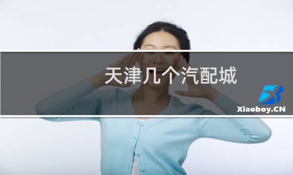 天津几个汽配城