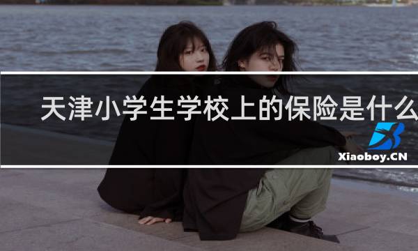 天津小学生学校上的保险是什么险