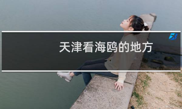 天津看海鸥的地方