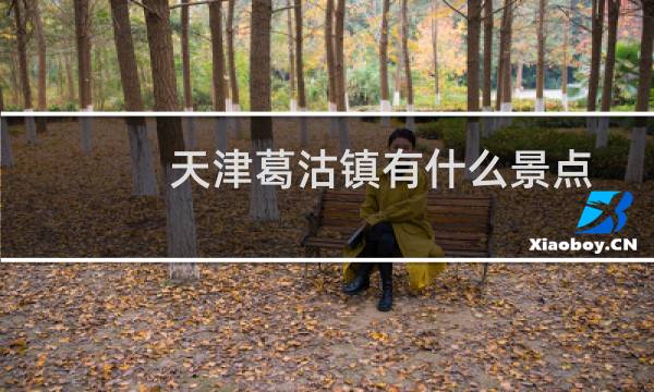 天津葛沽镇有什么景点