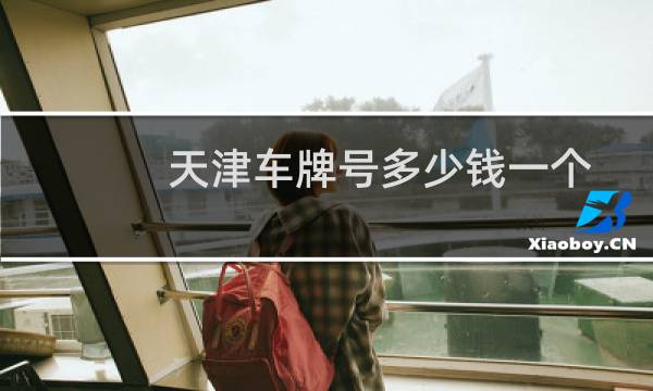 天津车牌号多少钱一个