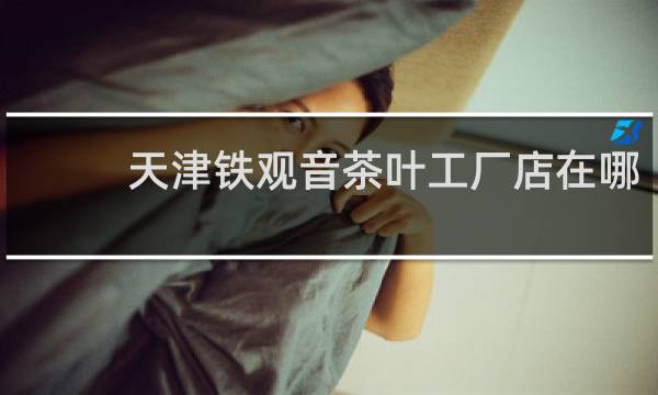 天津铁观音茶叶工厂店在哪