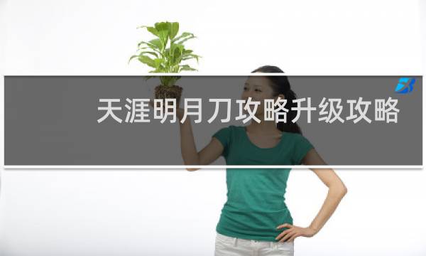 天涯明月刀攻略升级攻略