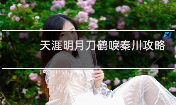 天涯明月刀鹤唳秦川攻略