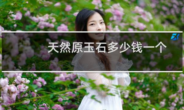 天然原玉石多少钱一个