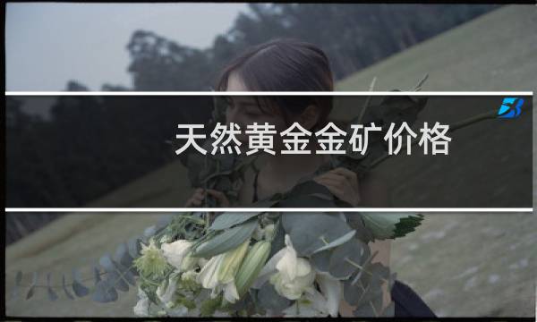 天然黄金金矿价格