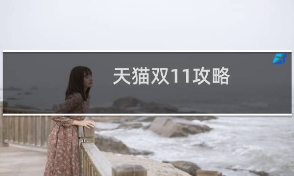 天猫双11攻略