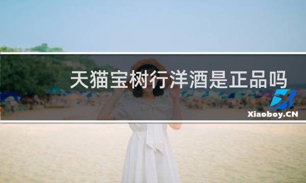 天猫宝树行洋酒是正品吗