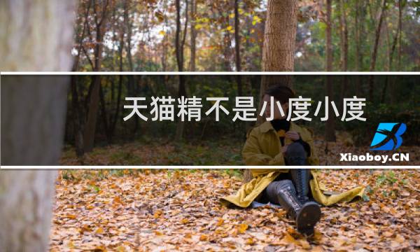 天猫精不是小度小度