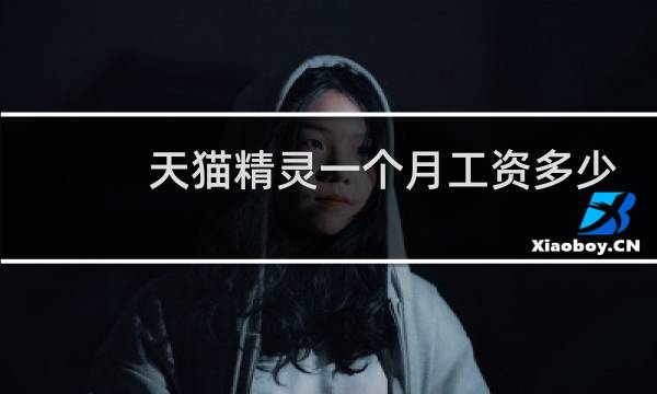 天猫精灵一个月工资多少