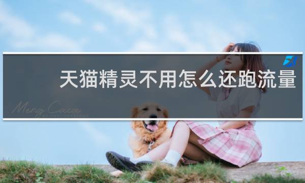 天猫精灵不用怎么还跑流量