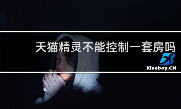天猫精灵不能控制一套房吗