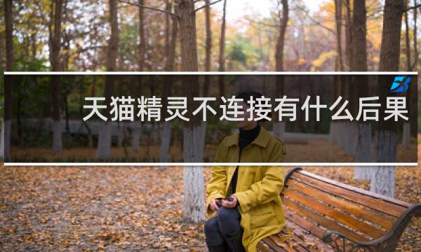 天猫精灵不连接有什么后果