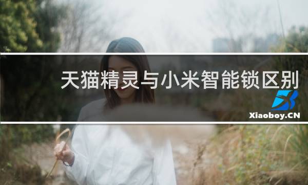 天猫精灵与小米智能锁区别