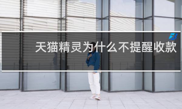 天貓精靈為什么不提醒收款