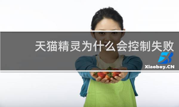 天猫精灵为什么会控制失败