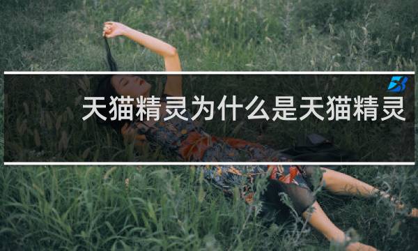 天猫精灵为什么是天猫精灵