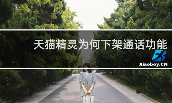 天猫精灵为何下架通话功能