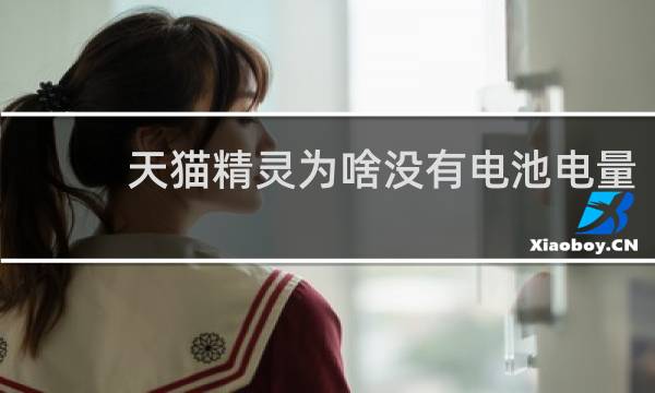 天猫精灵为啥没有电池电量