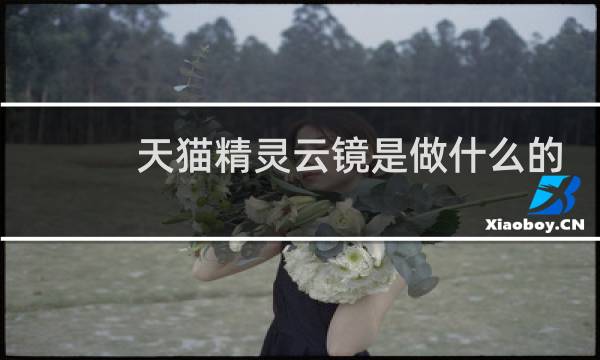 天猫精灵云镜是做什么的