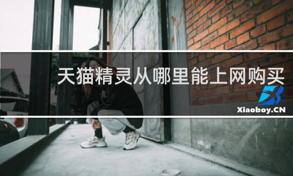 天猫精灵从哪里能上网购买