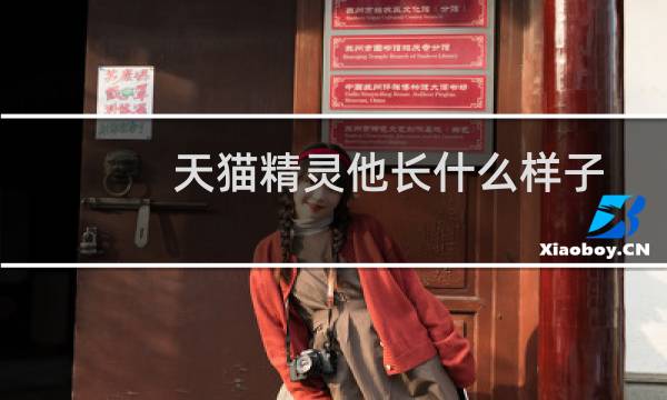 天猫精灵他长什么样子
