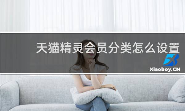 天猫精灵会员分类怎么设置