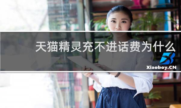 天猫精灵充不进话费为什么