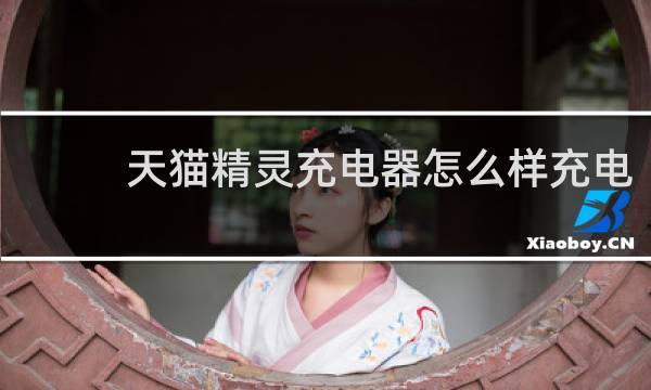 天貓精靈充電器怎么樣充電