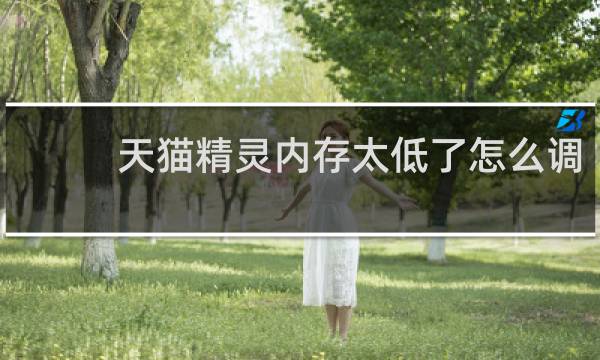 天猫精灵内存太低了怎么调
