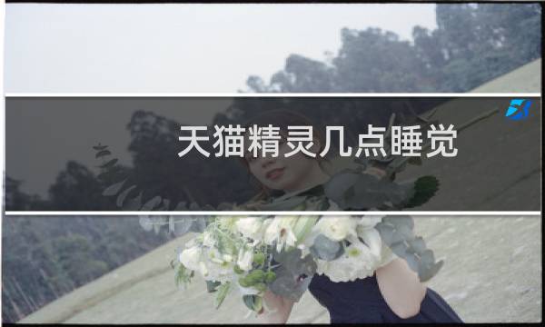 天猫精灵几点睡觉