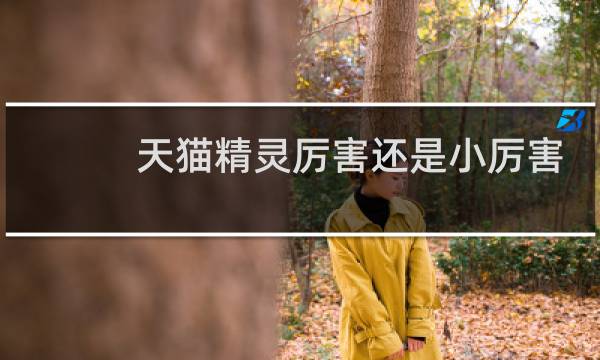 天猫精灵厉害还是小厉害