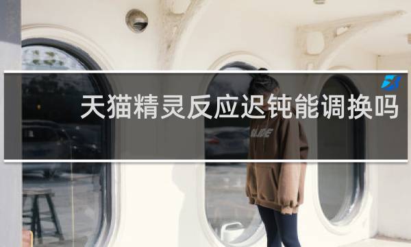 天猫精灵反应迟钝能调换吗
