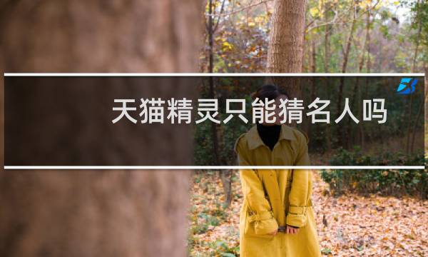 天猫精灵只能猜名人吗