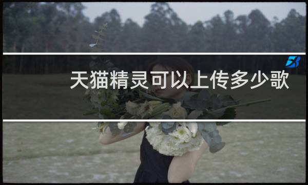 天猫精灵可以上传多少歌