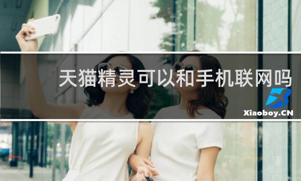 天猫精灵可以和手机联网吗