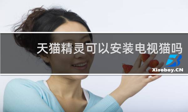 天猫精灵可以安装电视猫吗