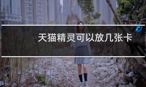 天猫精灵可以放几张卡