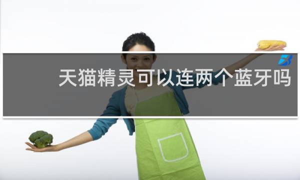 天猫精灵可以连两个蓝牙吗