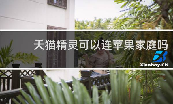 天猫精灵可以连苹果家庭吗