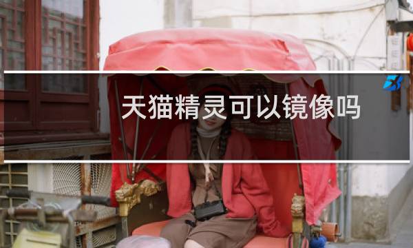 天猫精灵可以镜像吗
