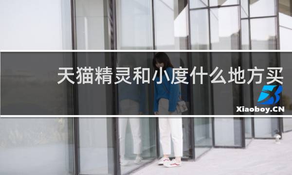 天猫精灵和小度什么地方买