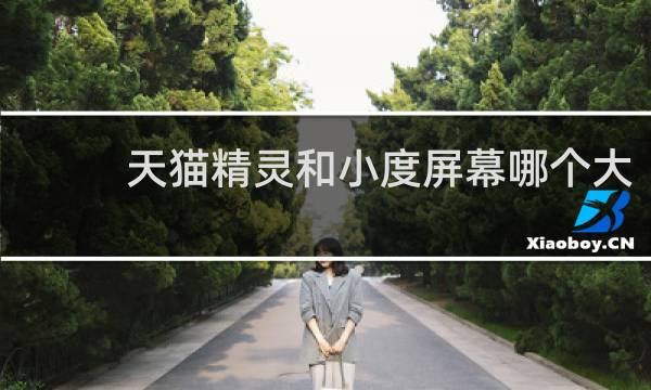 天猫精灵和小度屏幕哪个大