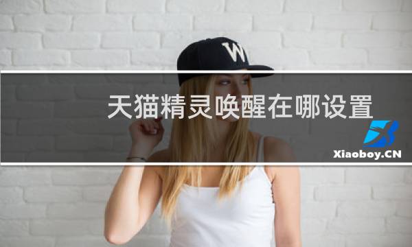 天猫精灵唤醒在哪设置