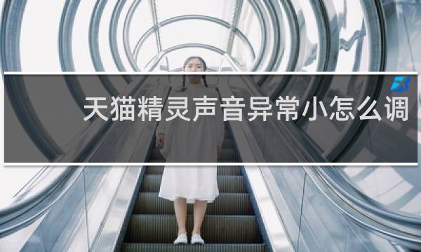 天猫精灵声音异常小怎么调