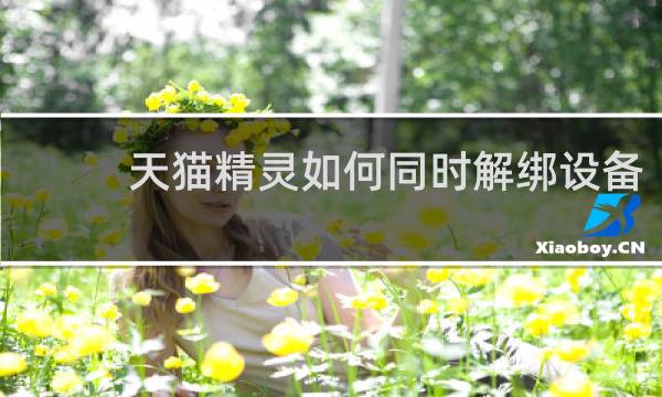 天猫精灵如何同时解绑设备