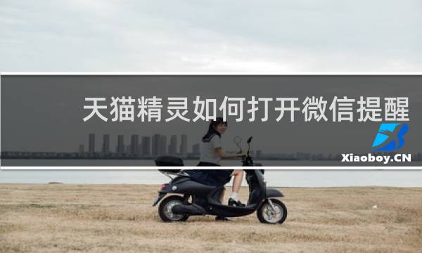 天猫精灵如何打开微信提醒