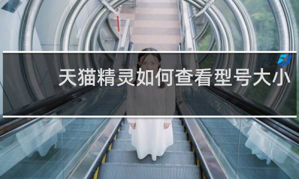 天猫精灵如何查看型号大小